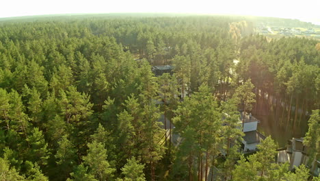 aerial drone backward moving shot over bungalows surrounded by tall green forest trees on a sunny morning