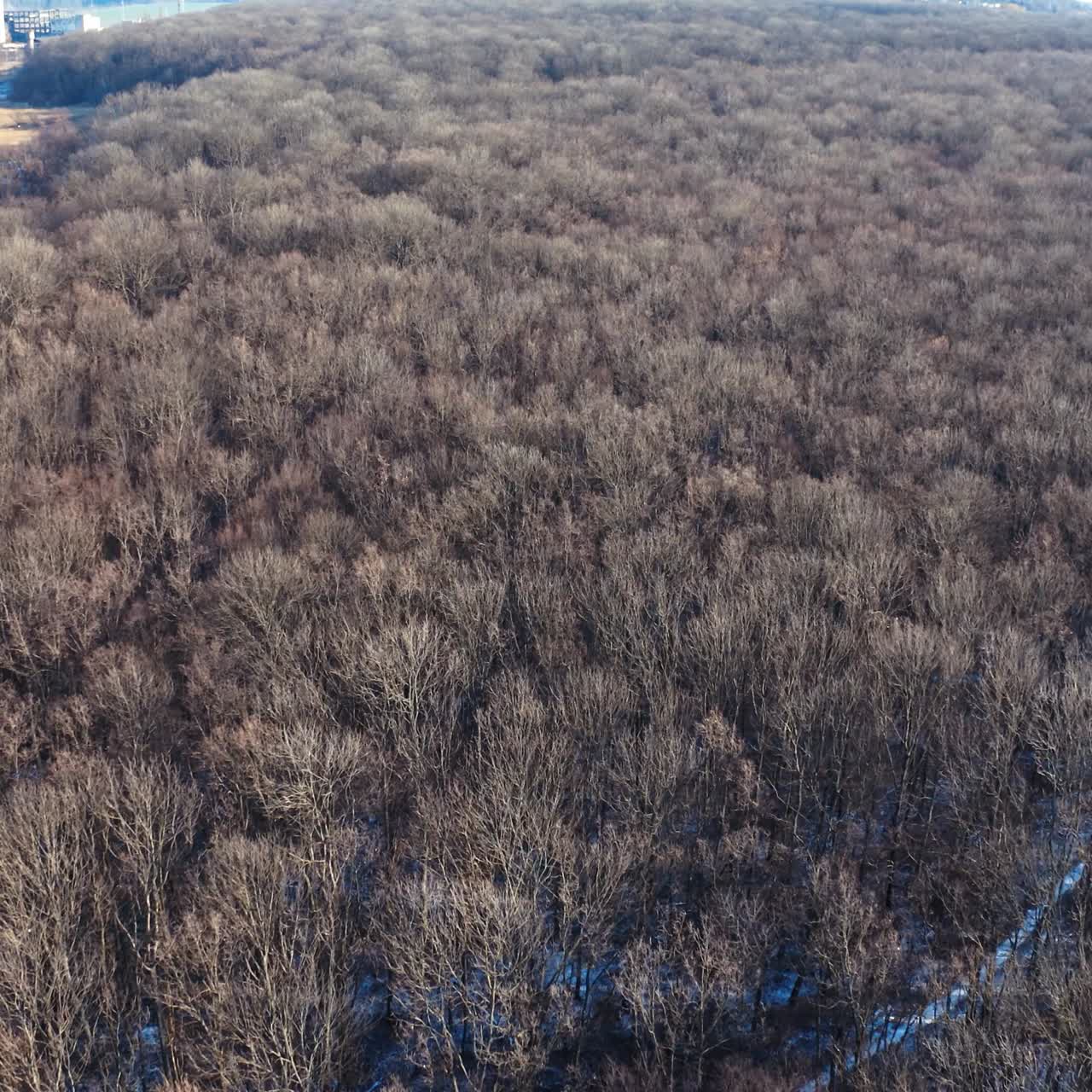 Drone view of frozen forest at winter