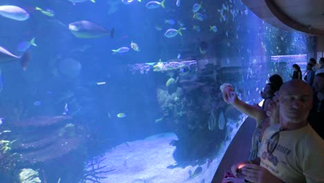 visitors are seen in the marine fish galleries at the oceanografic, located in valencia's city of arts and sciences. it is the largest oceanographic park in europe, housing over 500 species.