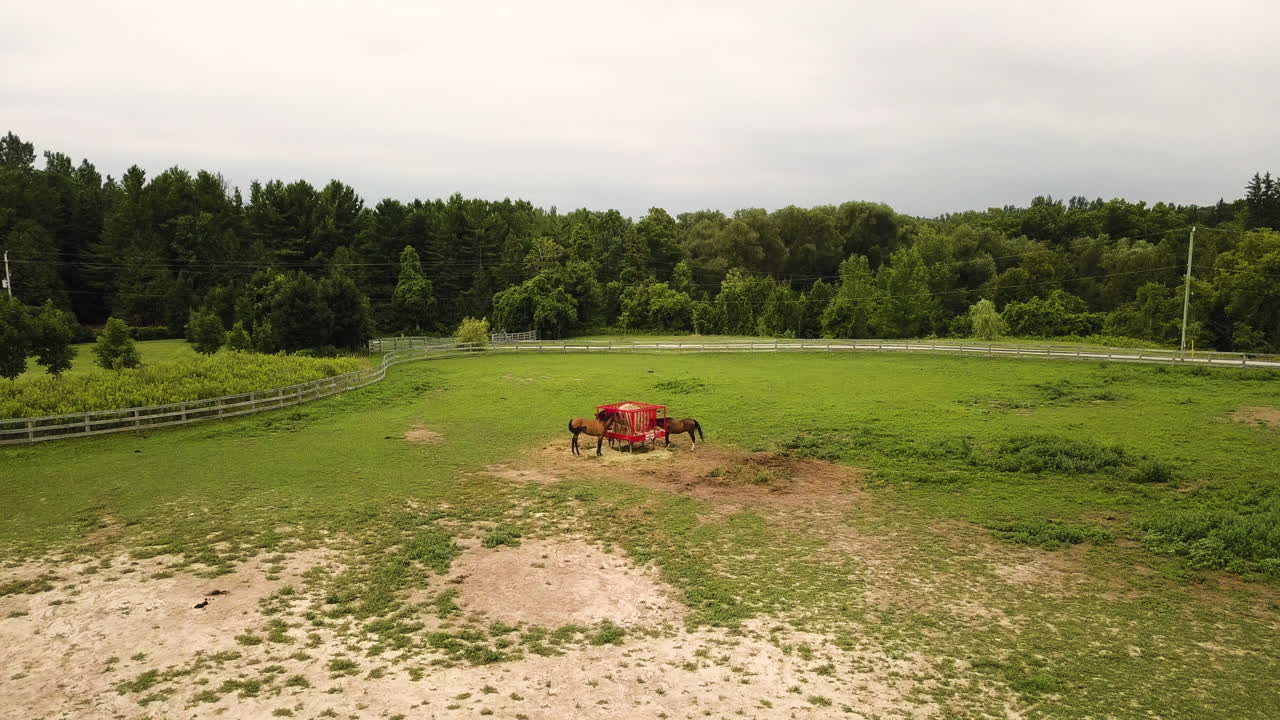 vista aérea de caballos comiendo en el pasto verde de una granja