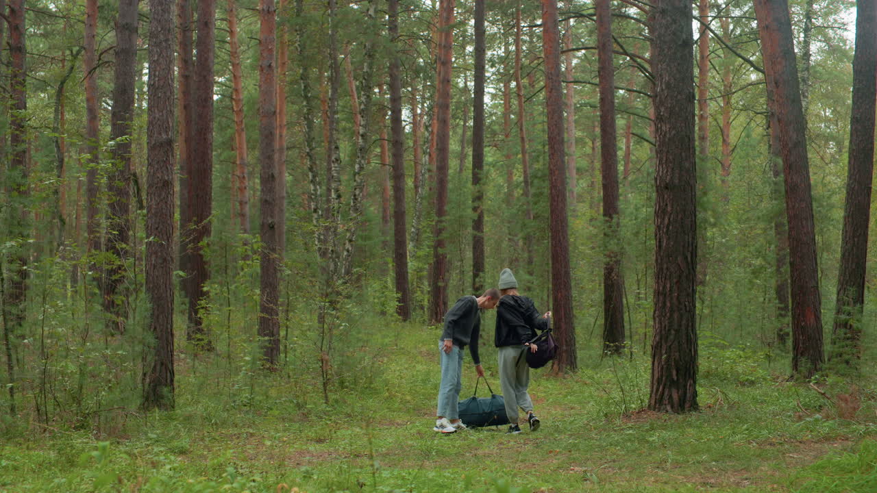 Tourists drop travel bags while standing quietly in dense forest as man places hand on waist and looks around contemplatively, surrounded by tall pine trees and green undergrowth