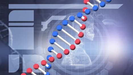 Animation-Eines-DNA-Stammes,-Der-Sich-über-Einem-3D-Modell-Eines-Menschlichen-Skeletts-Dreht