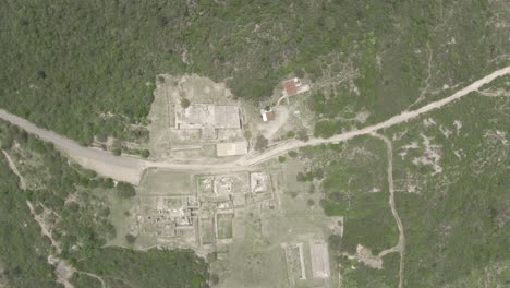 dainzú 2 , sitio arqueológico zapoteca, oaxaca- méxico