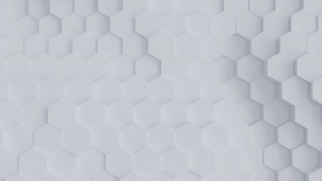 abstract hexagon geometric surface loop pattern on white background.