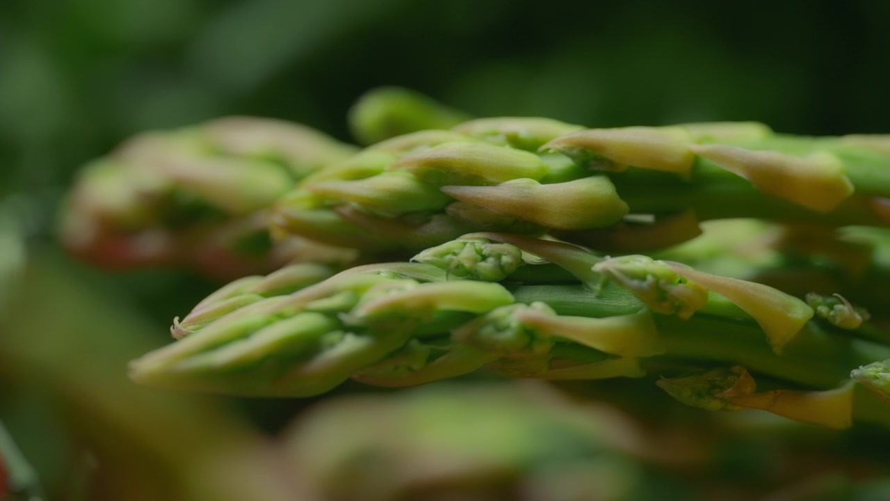 Nahaufnahme von frischem Spargel. Konzept für Ernährung und gesunde Lebensweise.