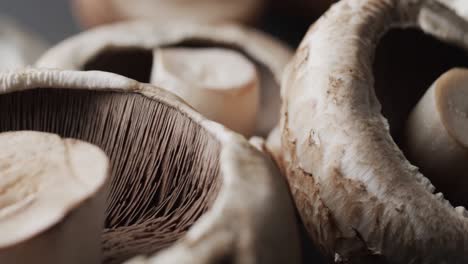 Micro-video-of-close-up-of-mushrooms-with-copy-space-on-grey-background