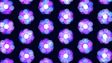 glowing purple and blue flower pattern on black background