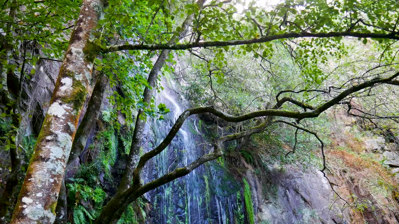 cascada de musgo de augacaida en galiza, pantón, lugo, españa