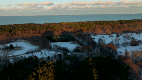 Paisaje-Nevado-Con-Un-Bosque-Al-Atardecer,-Luz-Que-Proyecta-Largas-Sombras,-Mar-Al-Fondo,-Vista-Aérea