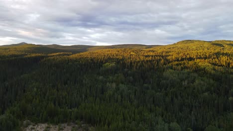 dense, lush forest sprawling over mountains and valleys in dease lake, british columbia, canada