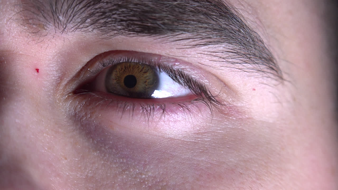 빛에 반응하는 눈동자