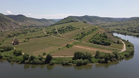 aerial pan forward over the vineyard fields of bremm moselle loop, germany