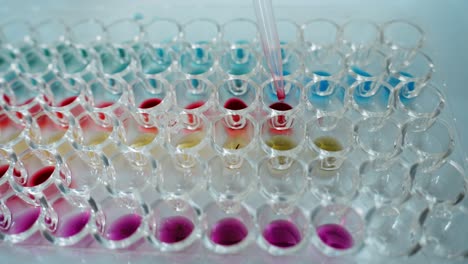 Microplate with Colored Solutions and Pipette