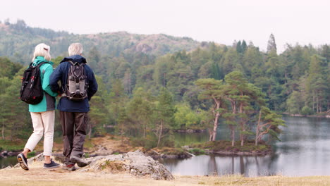 Senior-couple-walk-into-the-left-of-shot-and-embrace,-admiring-the-lake-view,-back-view,-Lake-District,-UK