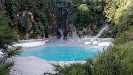 Waimangu-Vulkan-Rift-Tal,-Lebhaft-Gefärbter-Inferno-Kratersee-Mit-Umgebender-Fauna-In-Rotorua,-Neuseeland,-Aotearoa