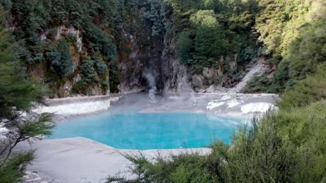 valle del rift volcánico de waimangu, lago del cráter del infierno de colores vivos con fauna circundante en rotorua, nueva zelanda aotearoa