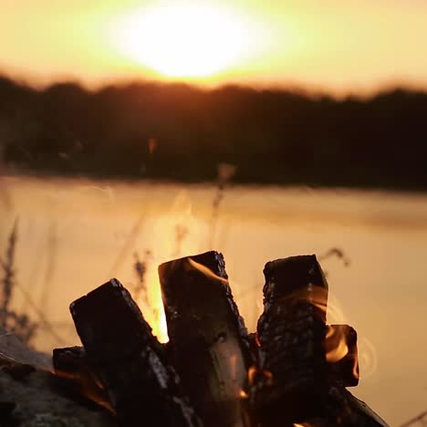 big night bonfire on the riverbank. red hot flame of campfire in the evening