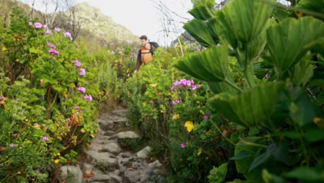 male hiker walking with backpack in countryside 4k