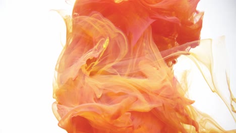 colorful orange yellow fire smoke powder explosion.