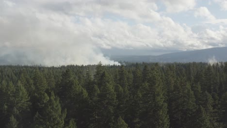 aerial tracking over a lush evergreen forest with smoke and fog in the distance