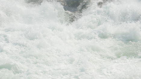 spawning salmon fish jumps out of frothing whitewater below waterfall