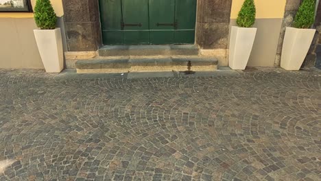 a picturesque entrance with potted plants