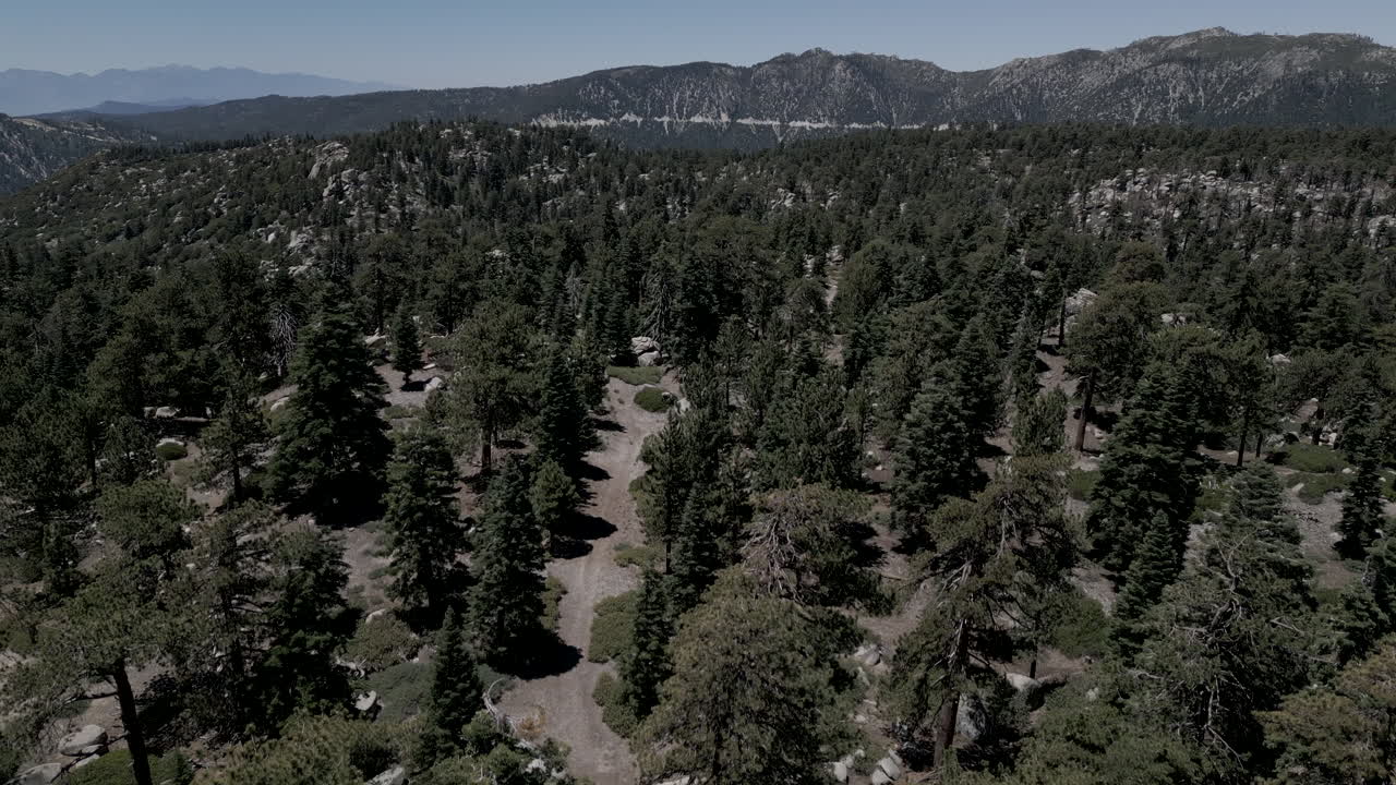 Drone in ascesa sopra il paesaggio montano di Big Bear Mountain