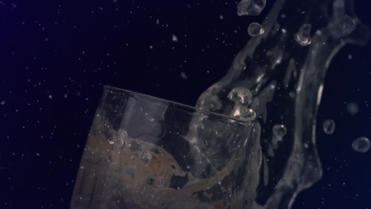 manchas blancas flotando sobre la sección media de la persona rociando champán contra un fondo negro