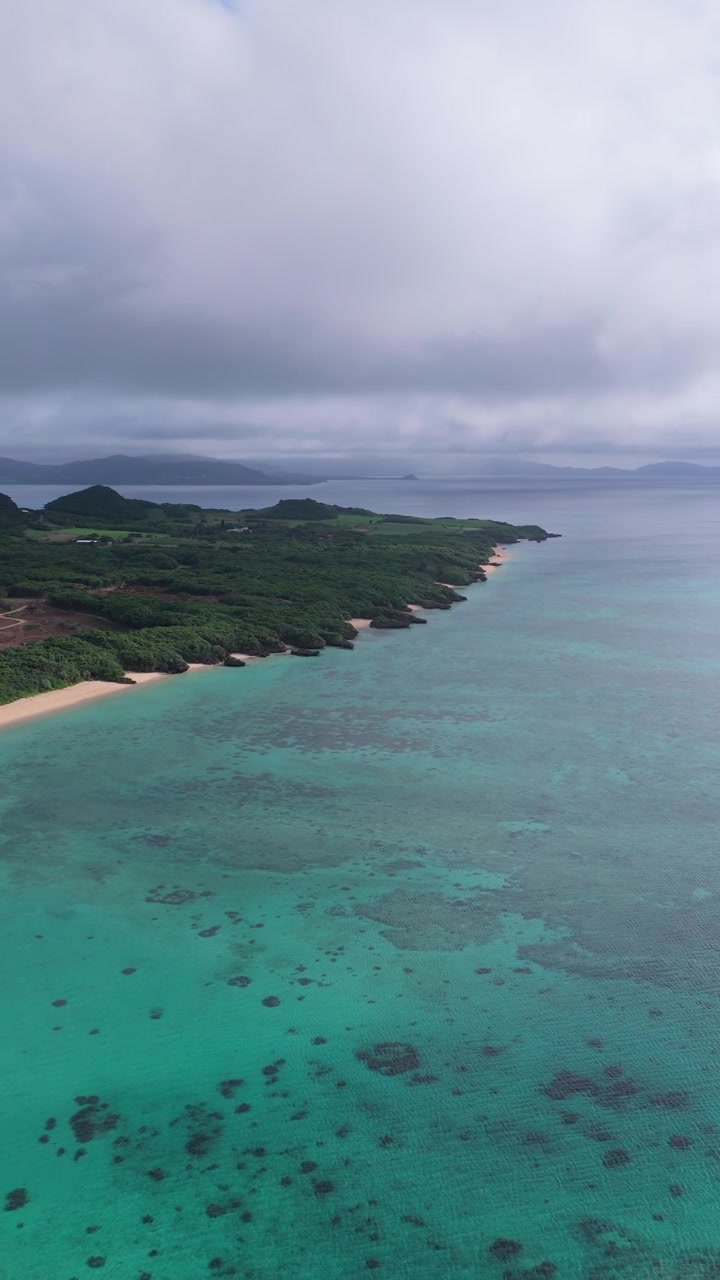 Costa rigogliosa dell'isola di Ishigaki con barriere coralline visibili attraverso le acque turchesi a Okinawa, Giappone. - Ripresa aerea verticale