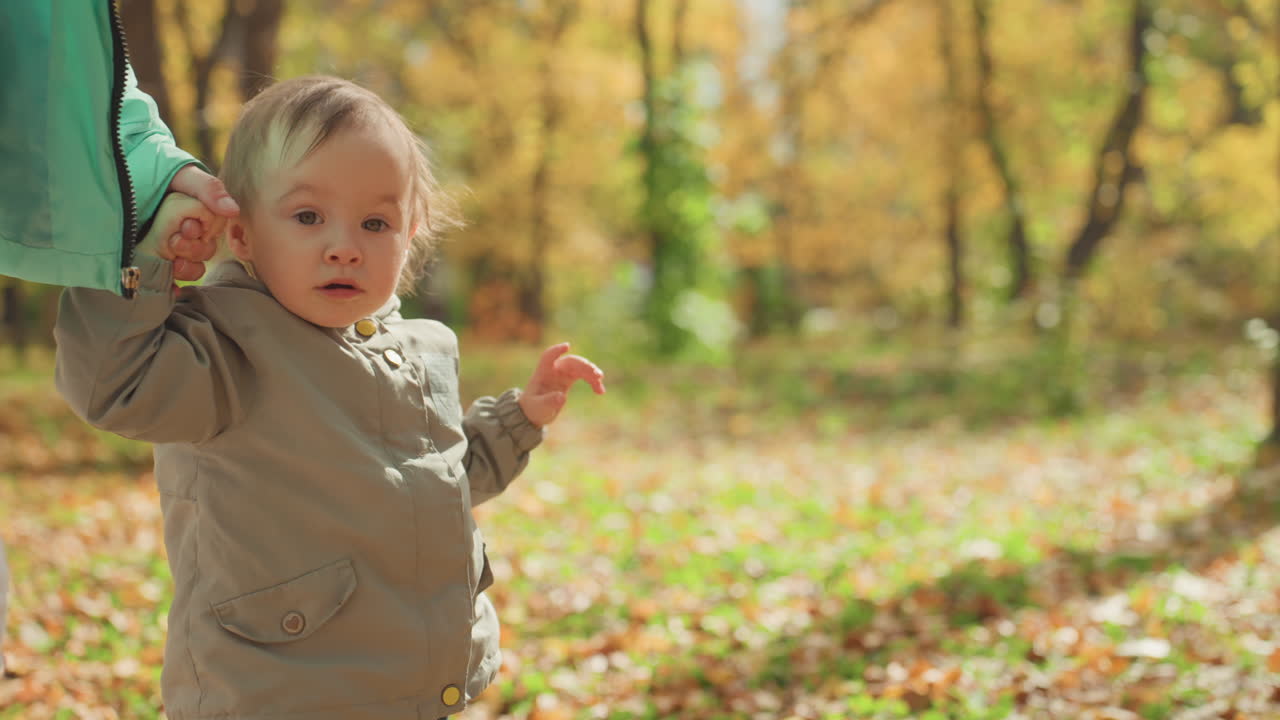 Kind lernt laufen. Kleinkind erkundet das Laufen mit elterlicher Anleitung inmitten gefallener Blätter. Kleines Kind erhält sanfte Hilfe von der Mutter, während es das Laufen in einem Park voller Herbstlaub entdeckt