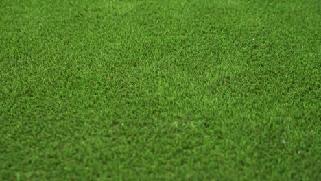 close up shot of fake astro turf grass which is perfectly made at the correct length and all the same colour with individual grass fibers shown