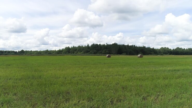 Hay bales in a grassy field under a cloudy sky
