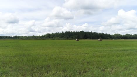 hay bales in a grassy field under a cloudy sky