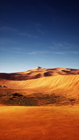 zandduinen in de woestijn