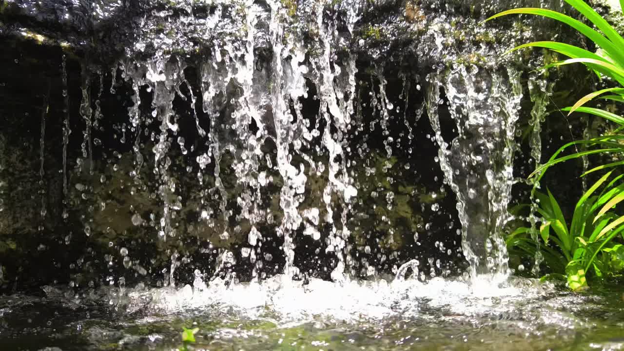 pequeña cascada en un jardín