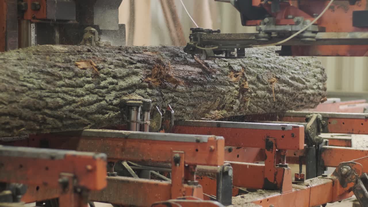 Industrial Saw Cutting a Large Timber Log in a Sawmill