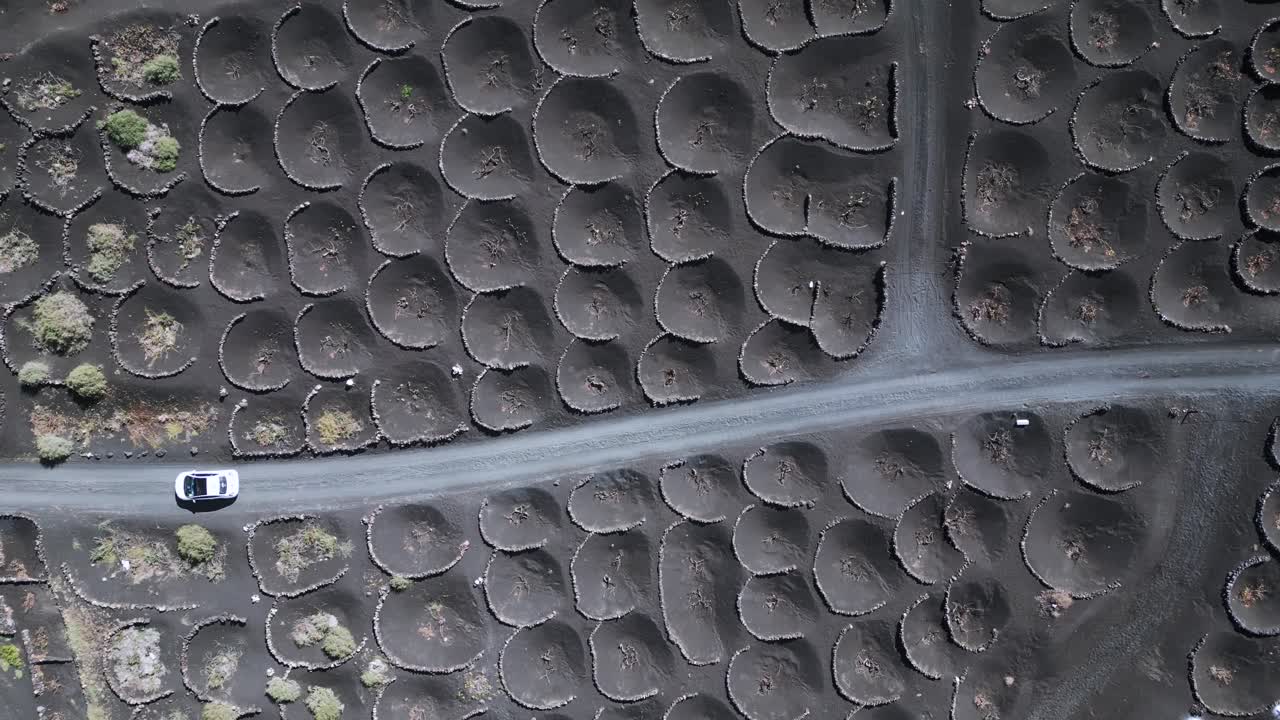 2023년 화창한 날 스페인 란자로테 카나리아 제도 포도원의 검은 화산재 트랙에 있는 멋진 공중 전망 비행 흰색 자동차