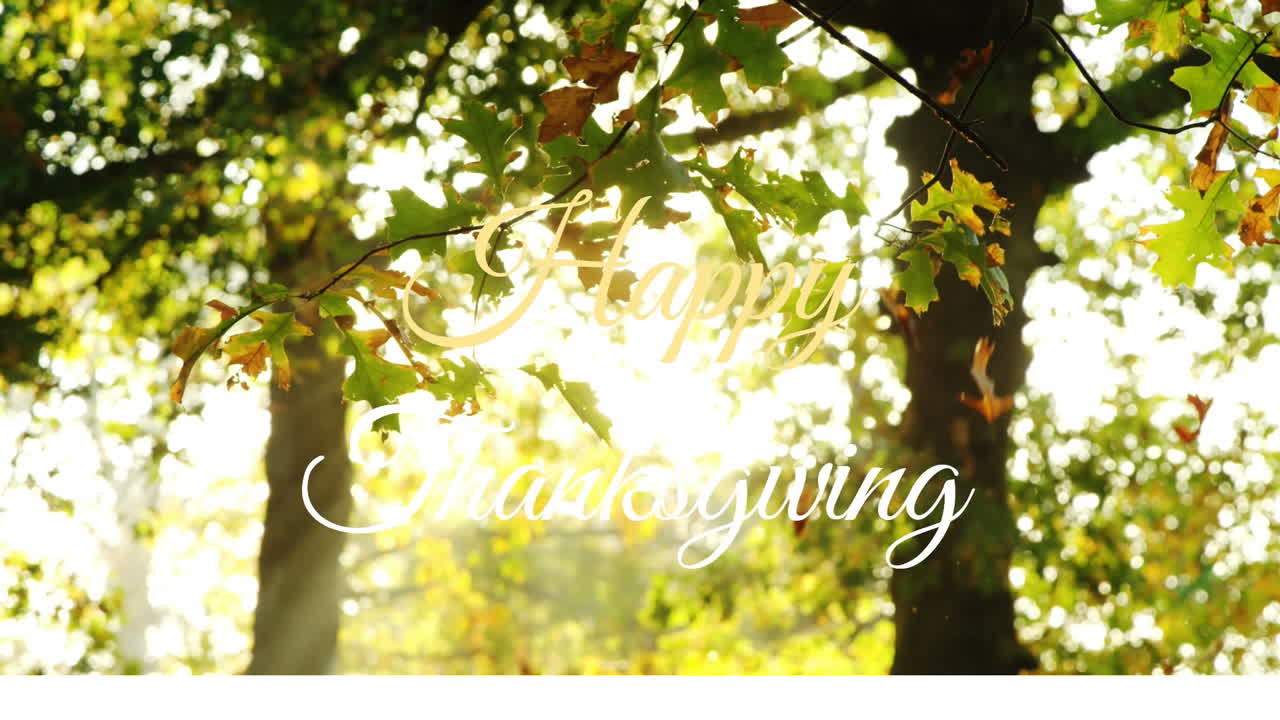 Happy Thanksgiving animation with sunlight filtering through autumn leaves in forest