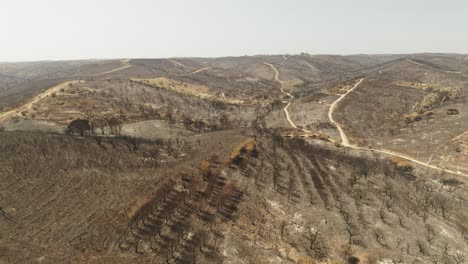 Colinas-De-Bosques-áridos-Con-árboles-Muertos-Después-De-Un-Incendio-Forestal-En-Portugal