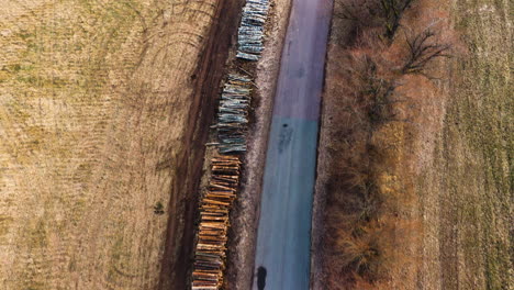 piles of pine logs cut to length on the side of the road in aerial view