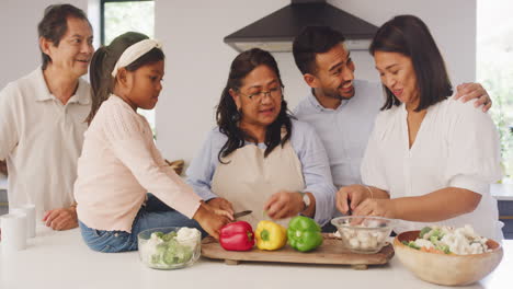 happy multi generation family cooking