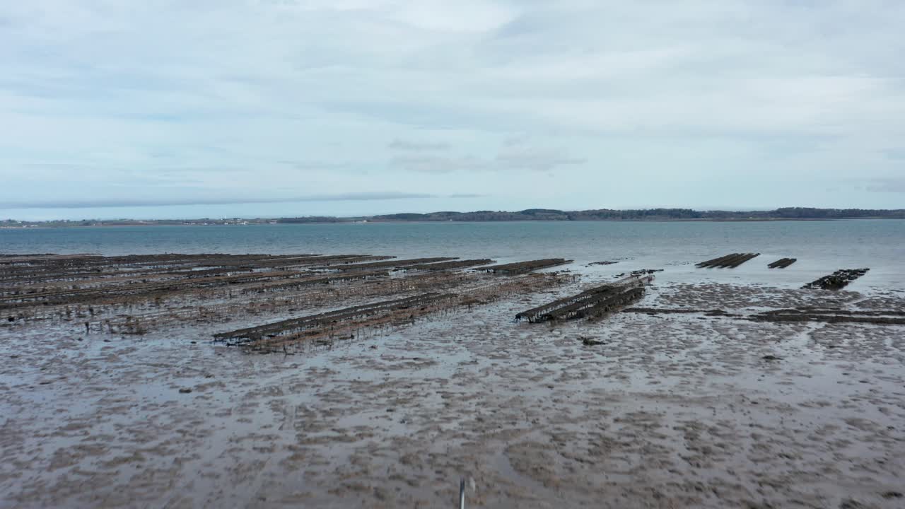 granja de mariscos volar sobre barcazas y filas de estantes de mejillones en el mar