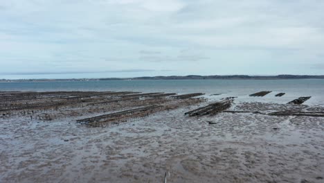 Shellfish-farm-fly-over-barge-and-rows-of-mussel-racks-in-sea