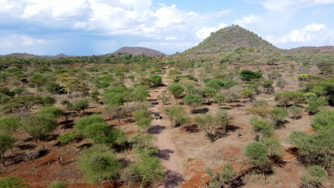 Schöne-Luftaufnahme-Von-Lkw,-Die-Durch-Die-Wildnis-Im-Ländlichen-Kenia-Fahren