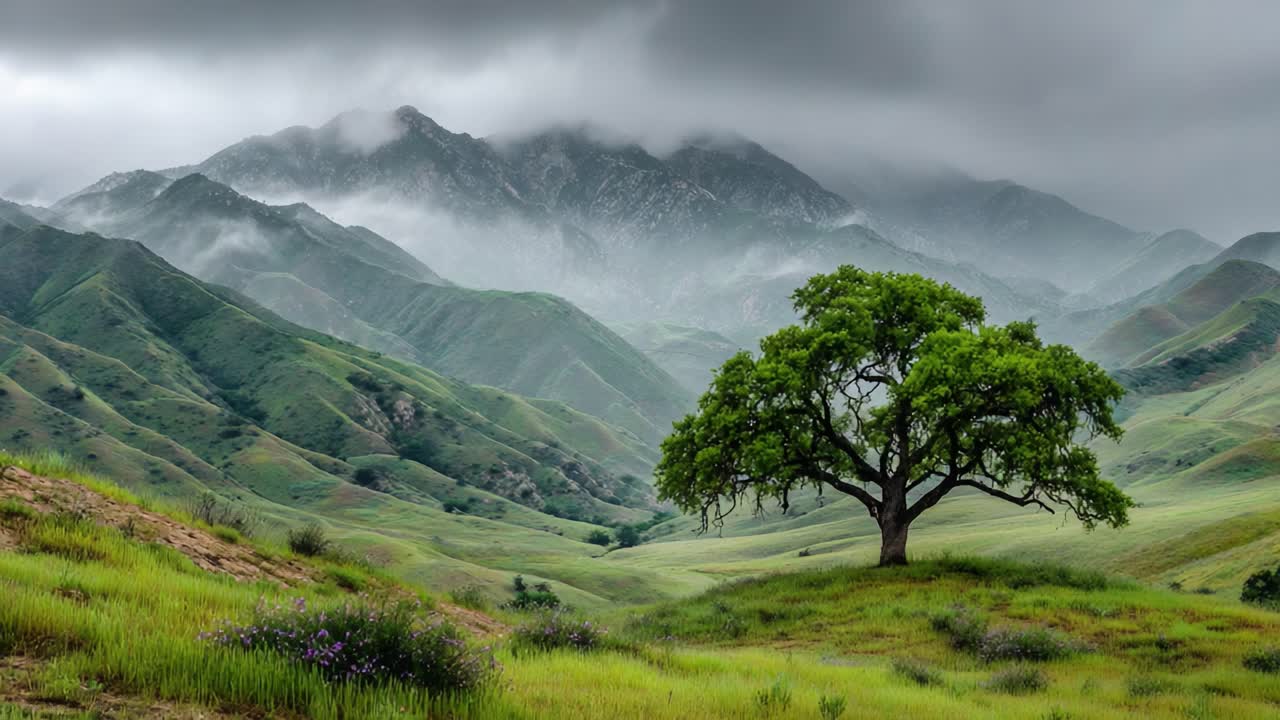 A Majestic Tree Stands Alone Against a Dramatic Mountain Landscape ...