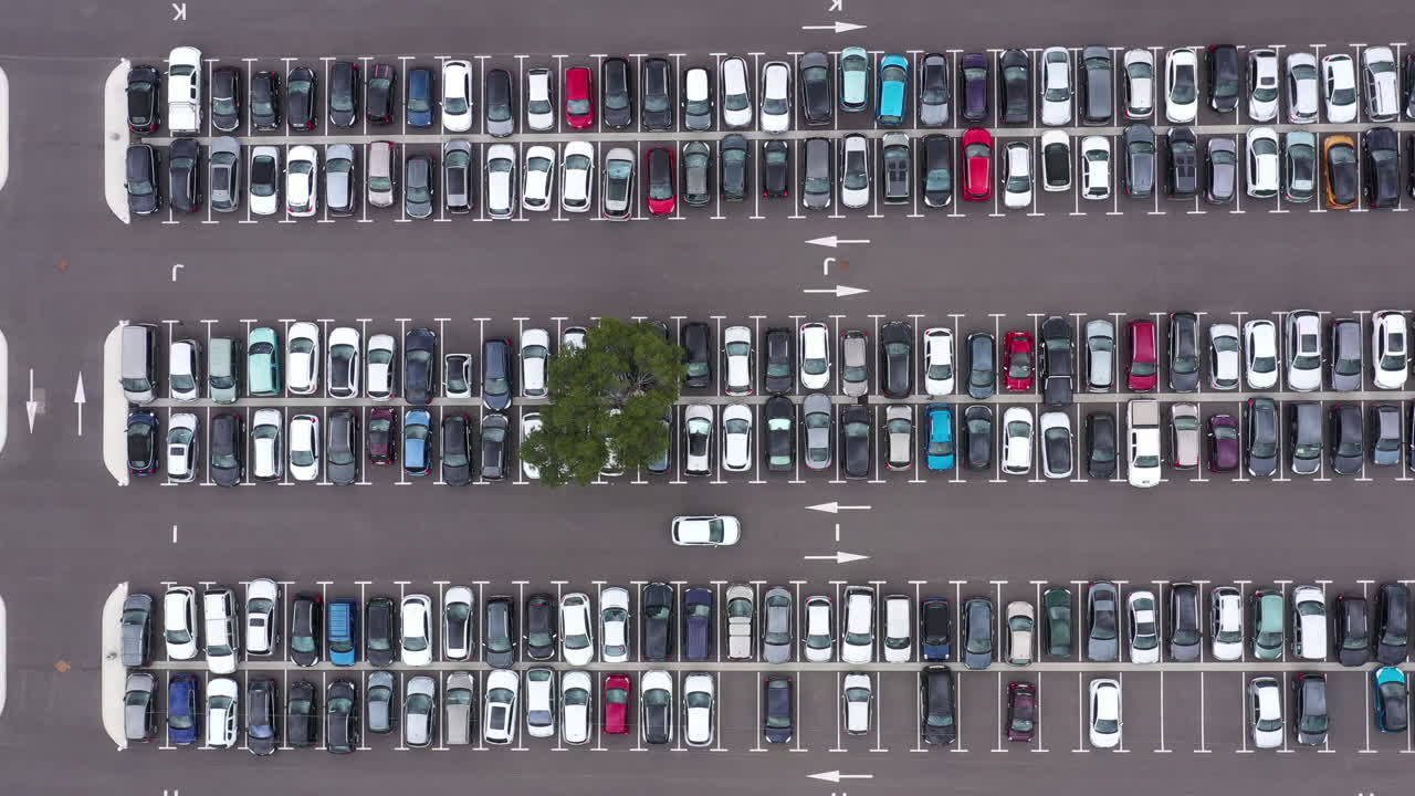 Flying over a white car in a parking lot full of cars. One green tree France
