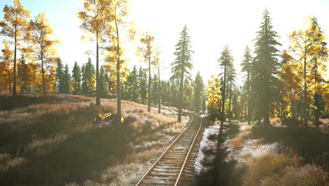 sunbeams through the trees on a railroad track in autumn