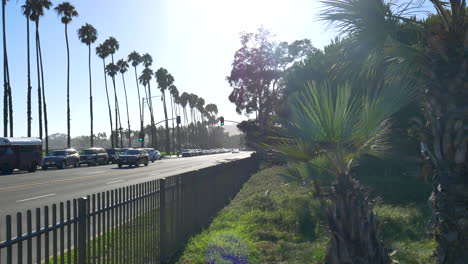 looking down the road with cars along chase palm park and the beach with palm trees in silhouette against a bright sun in the beautiful city of santa barbara, california