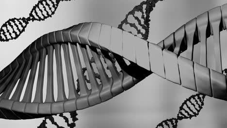 animation of dna strands spinning on grey background