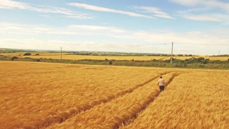 Aerial-view-of-farmer-walking-through-his-fields